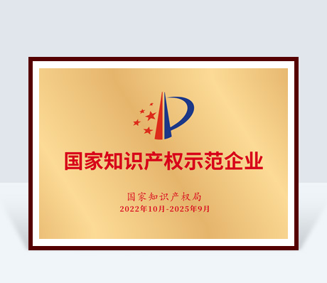 国家知识产权示范企业
