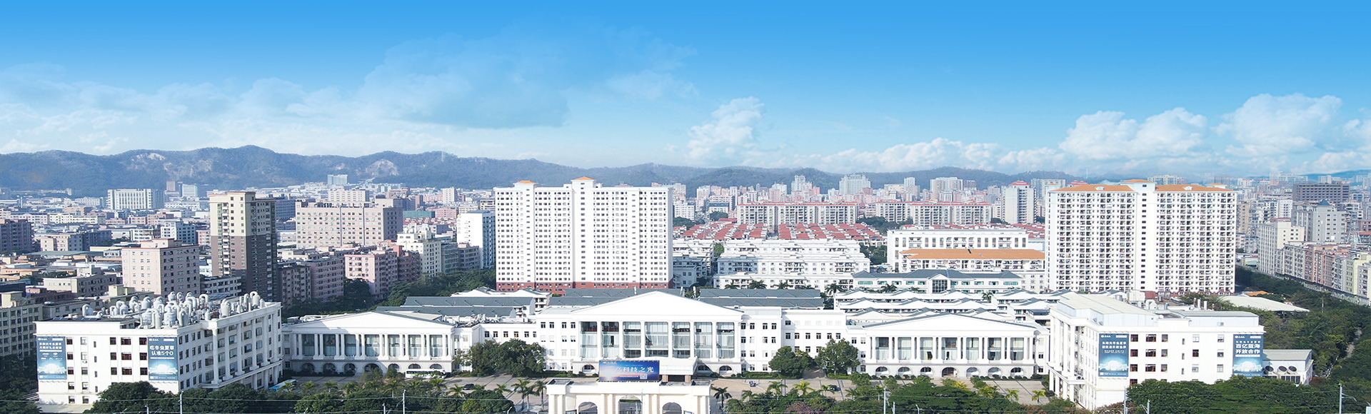 关于东阳光药